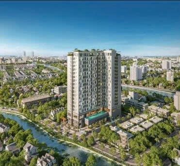 HPO.PREMIER Q12